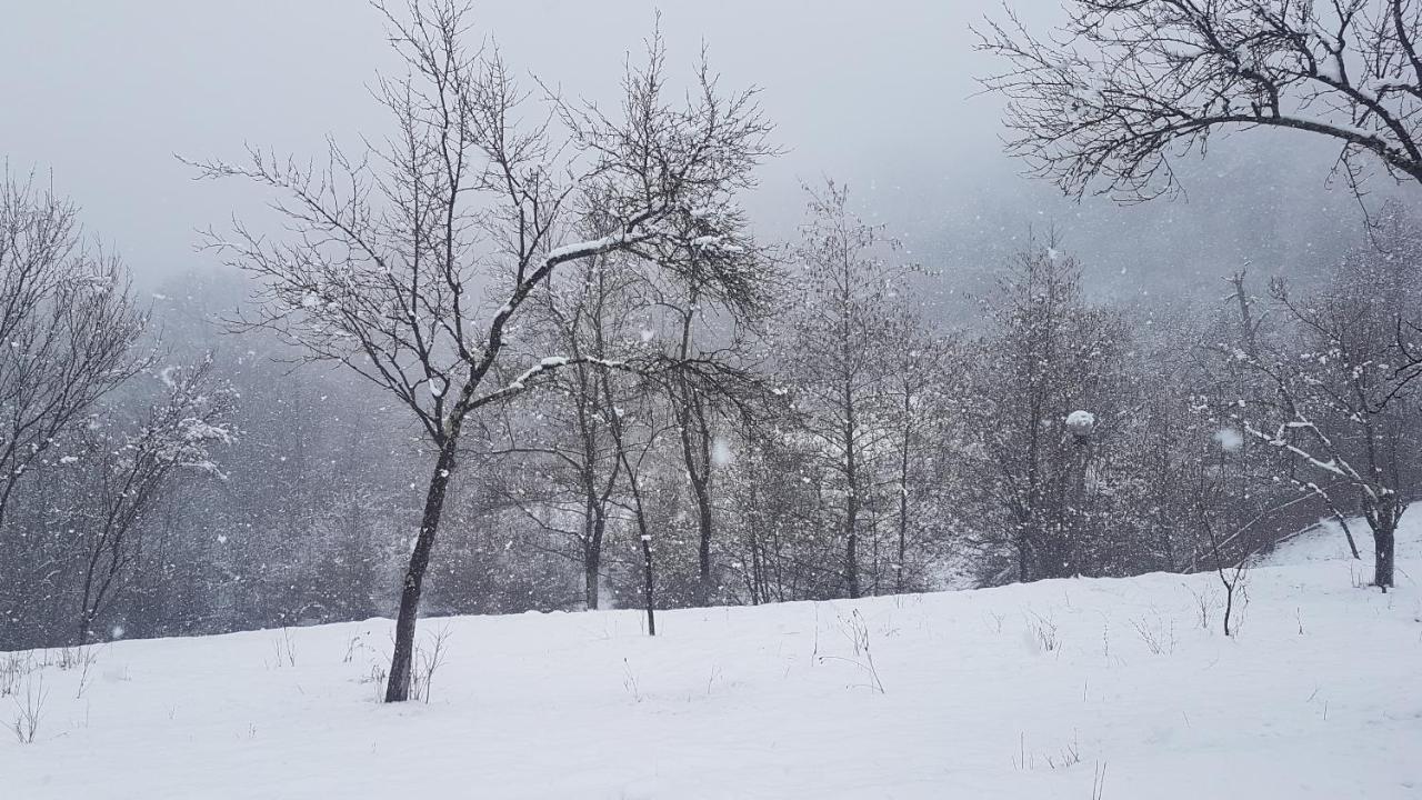 Casa Colt De Rai Βίλα Brezoi Εξωτερικό φωτογραφία