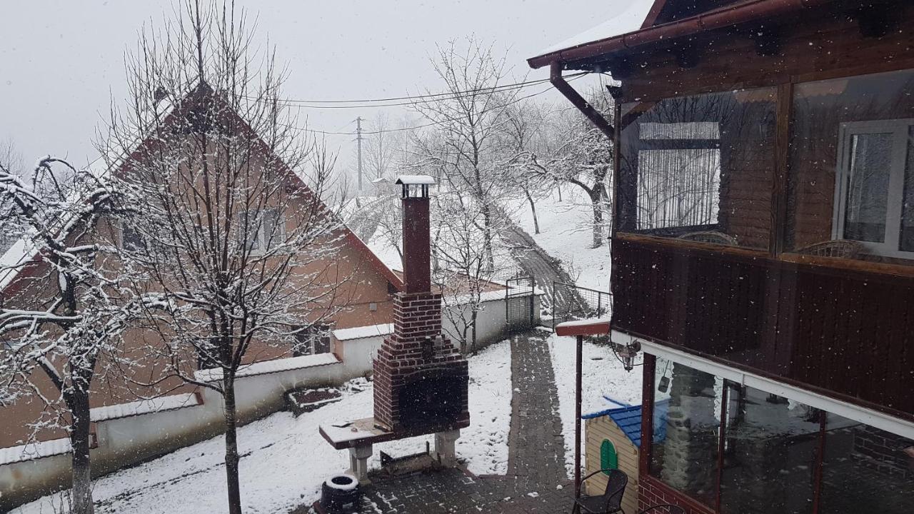Casa Colt De Rai Βίλα Brezoi Εξωτερικό φωτογραφία
