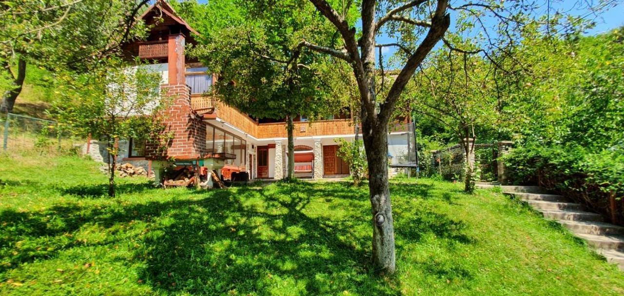 Casa Colt De Rai Βίλα Brezoi Εξωτερικό φωτογραφία