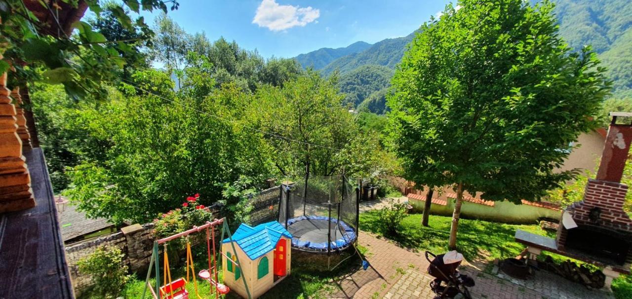 Casa Colt De Rai Βίλα Brezoi Εξωτερικό φωτογραφία